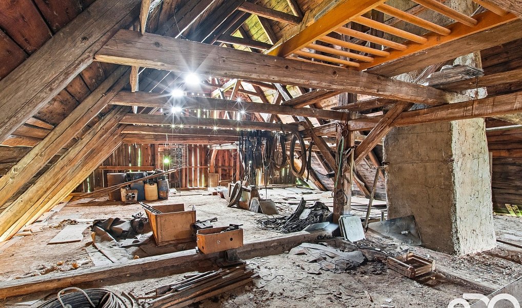 Prodej domu 500 m² s pozemkem 110 036 m², Kravaře – náhled fotky 12