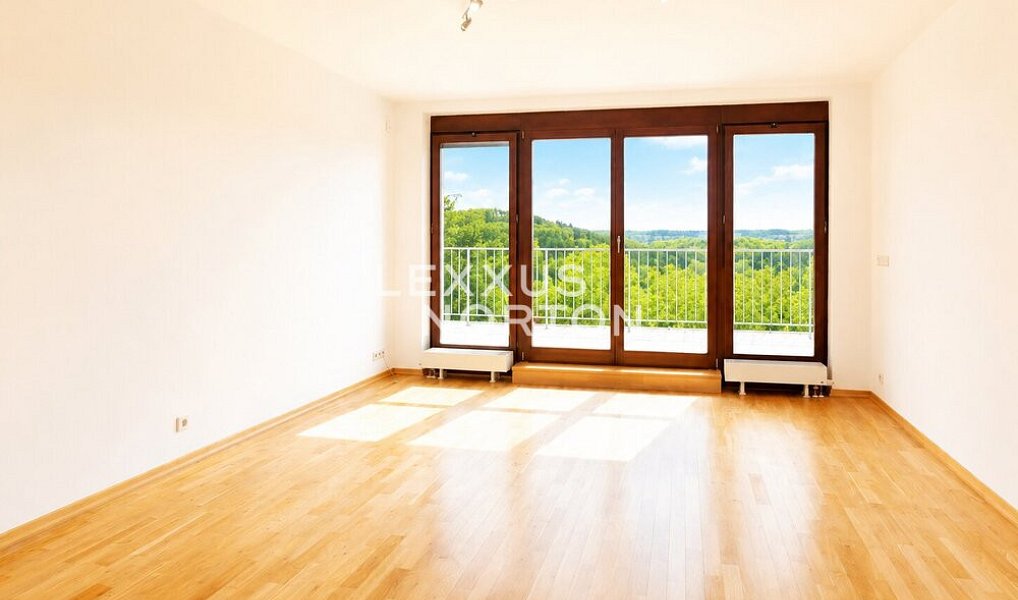 Pronájem domu 373 m² s pozemkem 857 m², Praha – náhled fotky 3