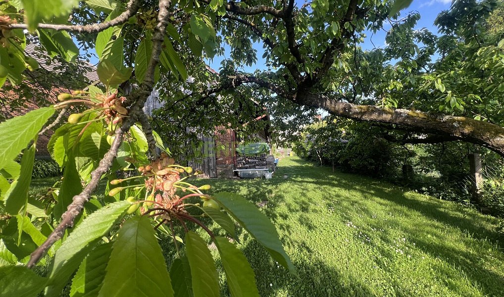 Prodej domu 80 m² s pozemkem 747 m², Hořice – náhled fotky 11