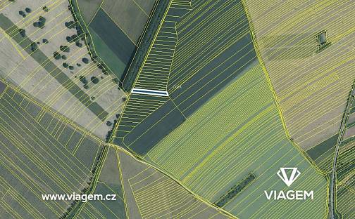 Prodej pole 641 m², Velká nad Veličkou, okres Hodonín
