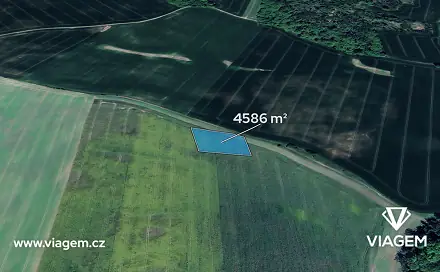 Ostatní