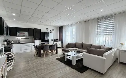 Prodej domu 466 m² s pozemkem 778 m², Pražská, Chomutov
