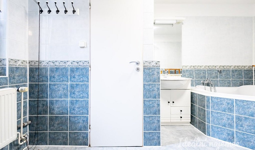 Pronájem domu 140 m² s pozemkem 103 m², Brandýs nad Labem-Stará Boleslav – náhled fotky 22