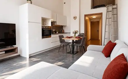 Pronájem bytu 1+kk 34 m², Hartigova, Praha 3 - Žižkov