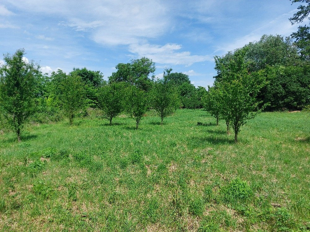 Prodej zahrady 4 845 m²