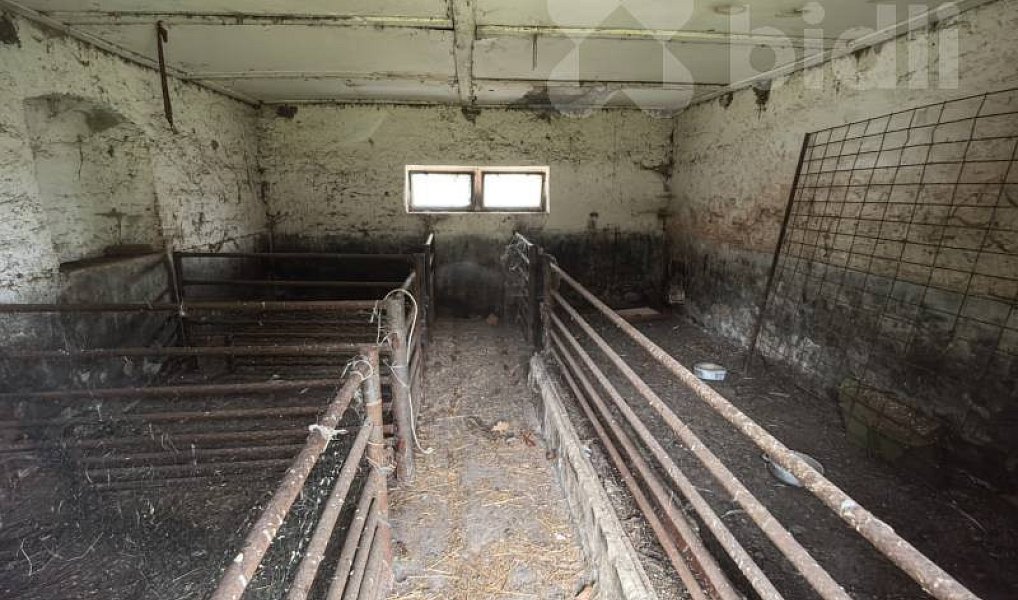 Prodej zemědělského objektu 160 m², Javorník – náhled fotky 33