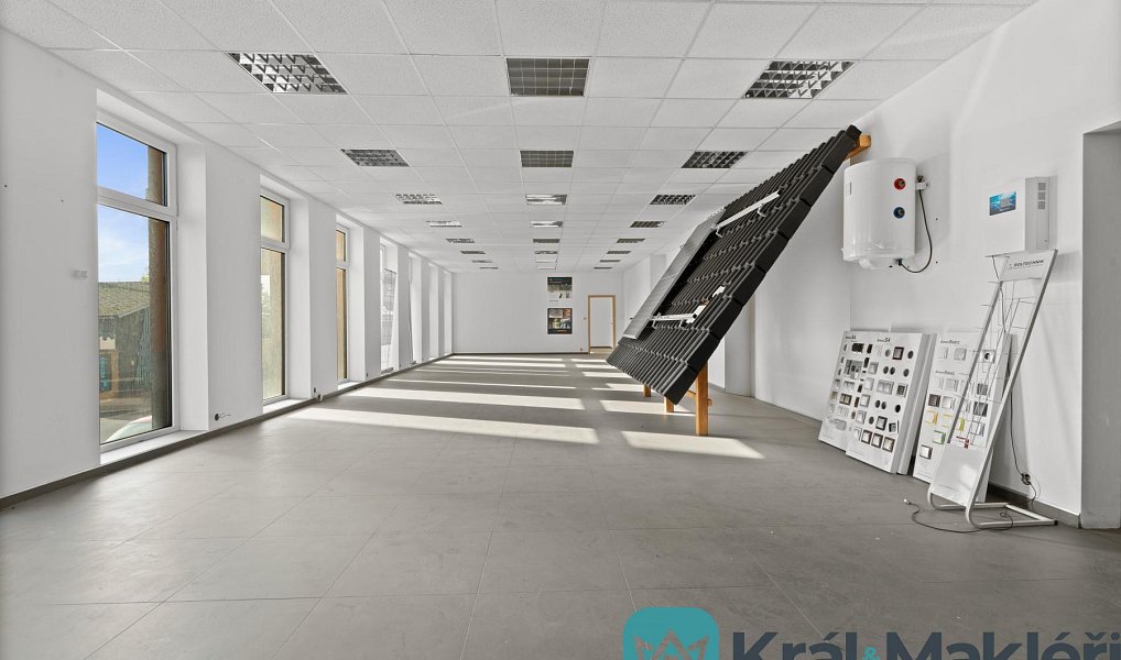 Prodej obchodních prostor 1 238 m², Děčín – náhled fotky 4