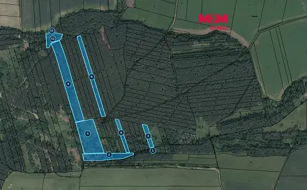 Prodej lesa 48 910 m², Slabčice - Písecká Smoleč, okres Písek