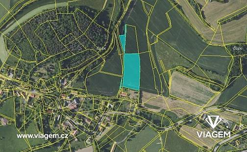 Prodej pole 4 376 m², Bystřice, okres Benešov