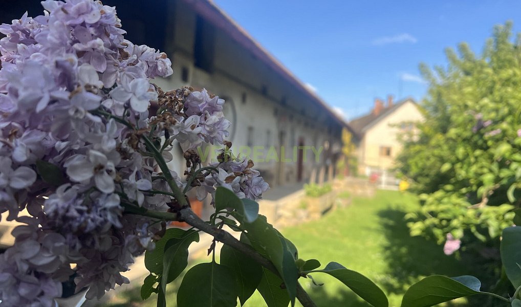 Prodej domu 80 m² s pozemkem 747 m², Hořice – náhled fotky 8