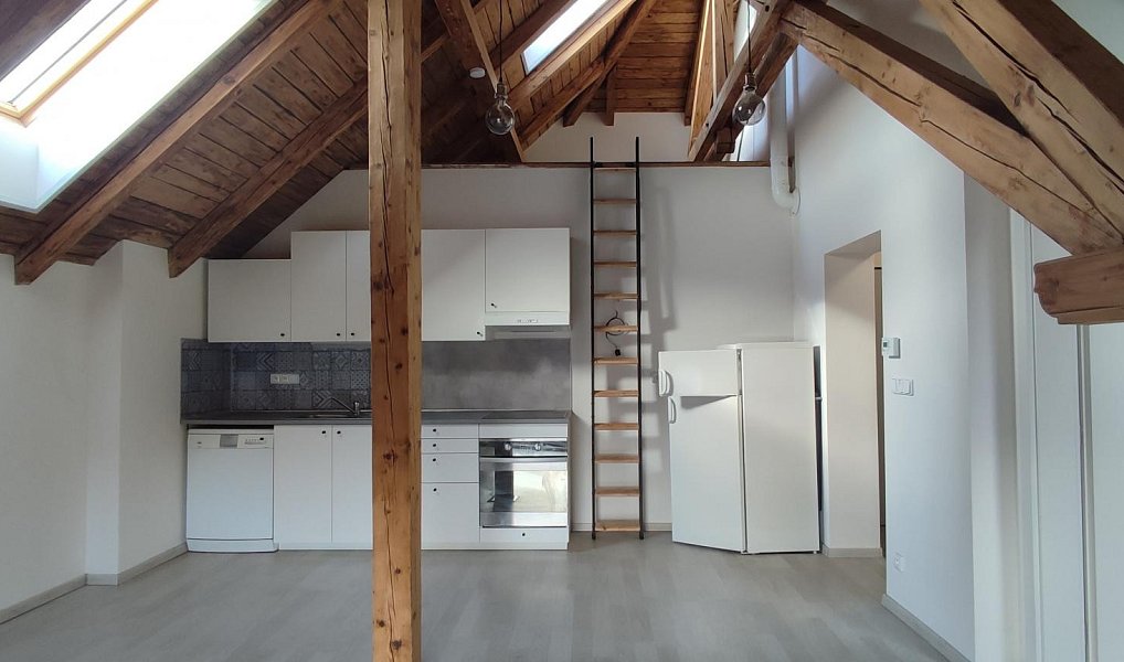 Pronájem bytu 2+kk 47 m², Řevničov – náhled fotky 5
