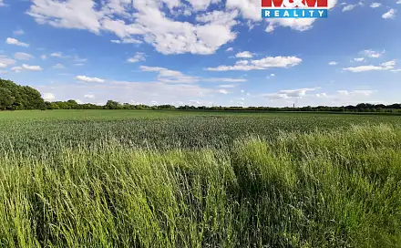Prodej pole 12 778 m², Olomouc - Slavonín