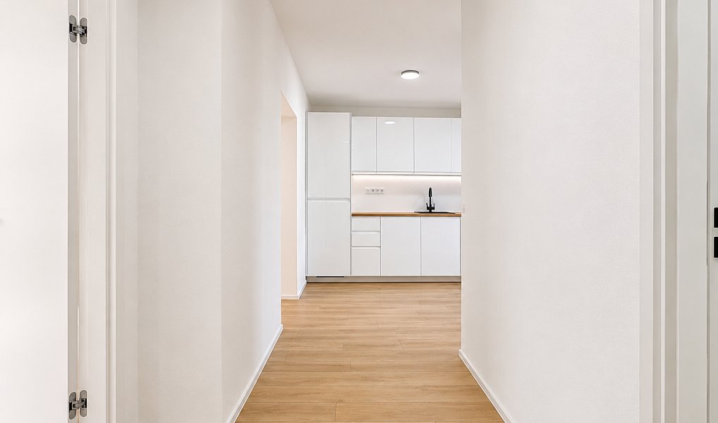 Prodej bytu 3+kk 53 m², Plzeň – náhled fotky 11