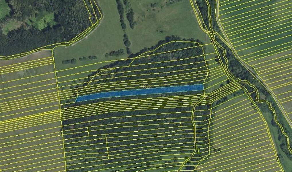 Prodej lesa 4 947 m², Hradčovice – náhled fotky 2