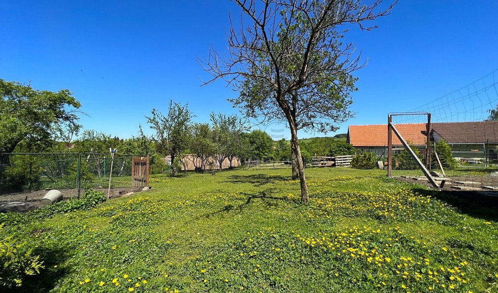 Prodej zahrady 744 m², Roštín – náhled fotky 8