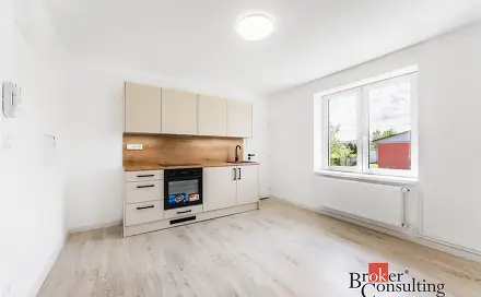 Prodej bytu 1+1 45 m², Křižíkova, Frýdek-Místek - Frýdek