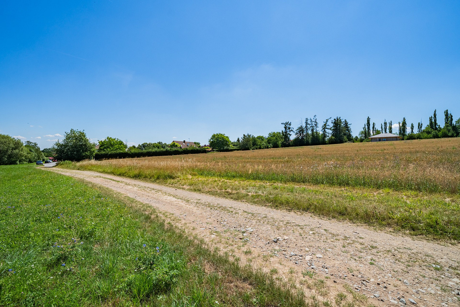 Prodej stavebního pozemku 13 480 m² – fotografie 5