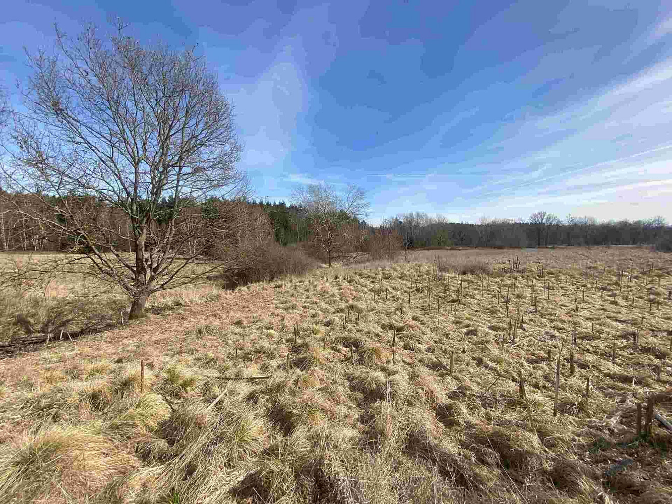 Prodej pole 15 408 m² – fotografie 3