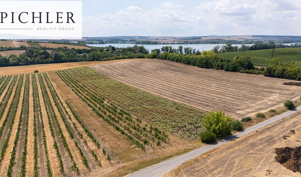 Prodej pozemku 24 332 m², Sedlec – náhled fotky 20