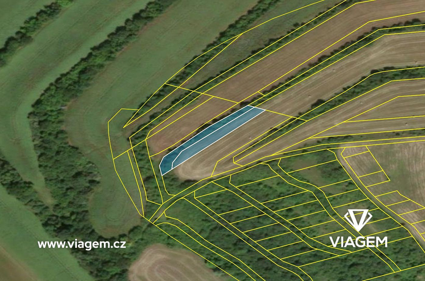 Prodej pole 1 395 m² – fotografie 3