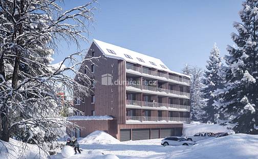 Pronájem bytu 2+kk 55 m², Harrachov - Nový Svět, okres Jablonec nad Nisou