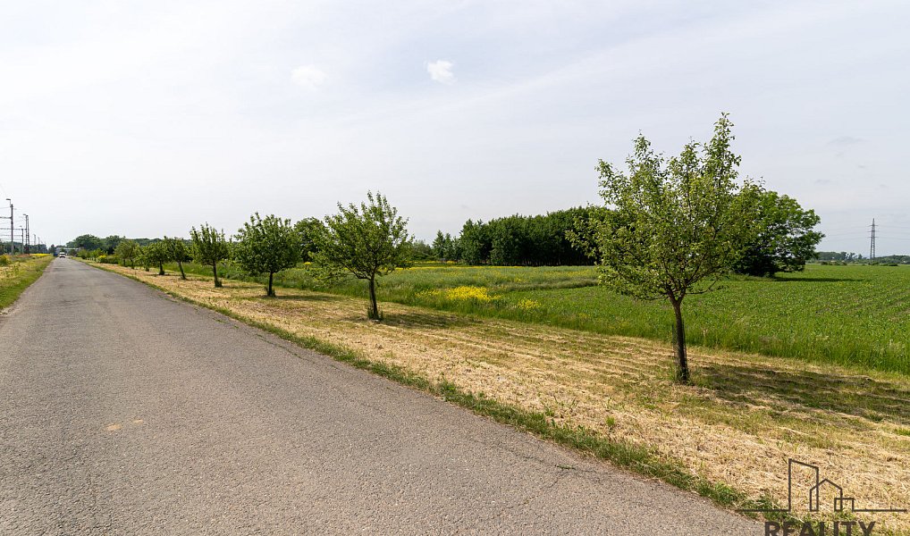Prodej komerčního pozemku 3 166 m², Grygov – náhled fotky 2