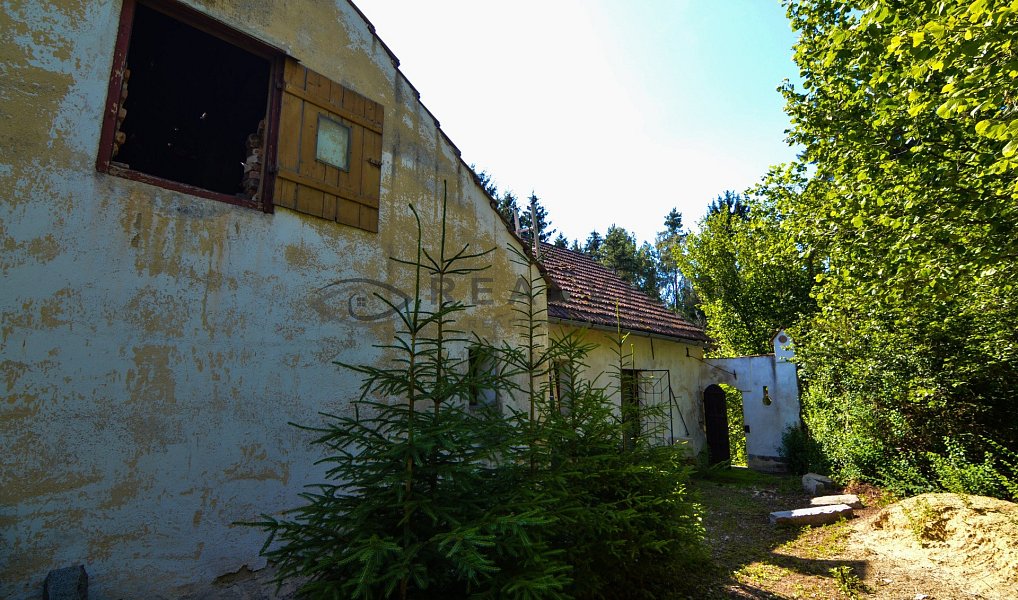 Prodej chaty/chalupy 110 m² s pozemkem 4 836 m², Trhové Sviny – náhled fotky 13