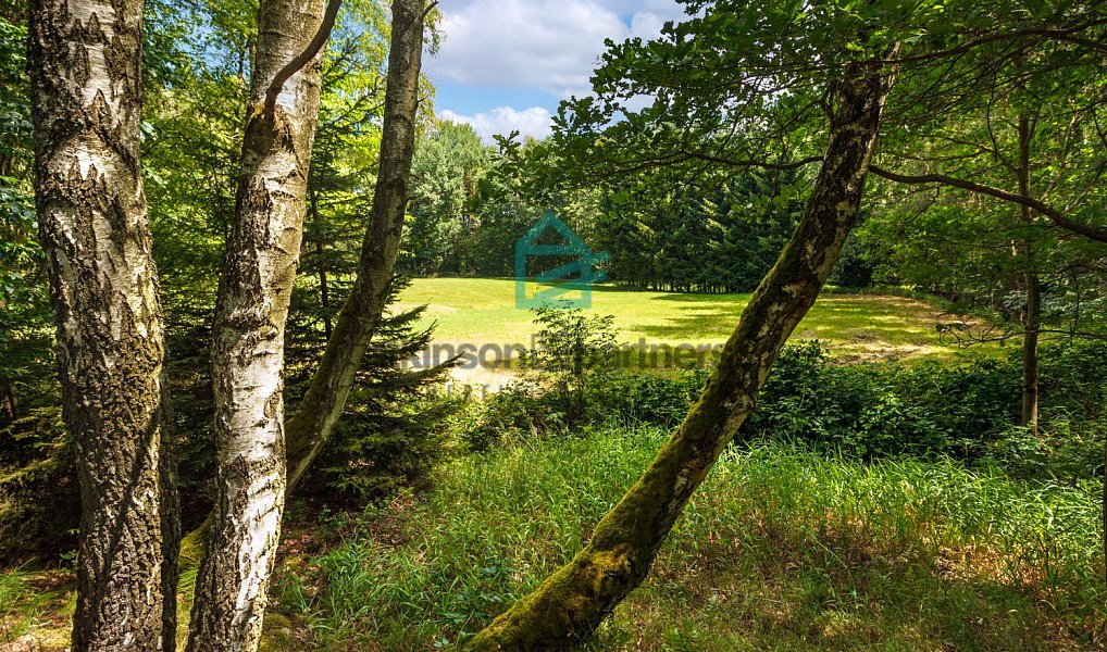 Prodej pozemku 6 805 m², Benešov nad Černou – náhled fotky 8