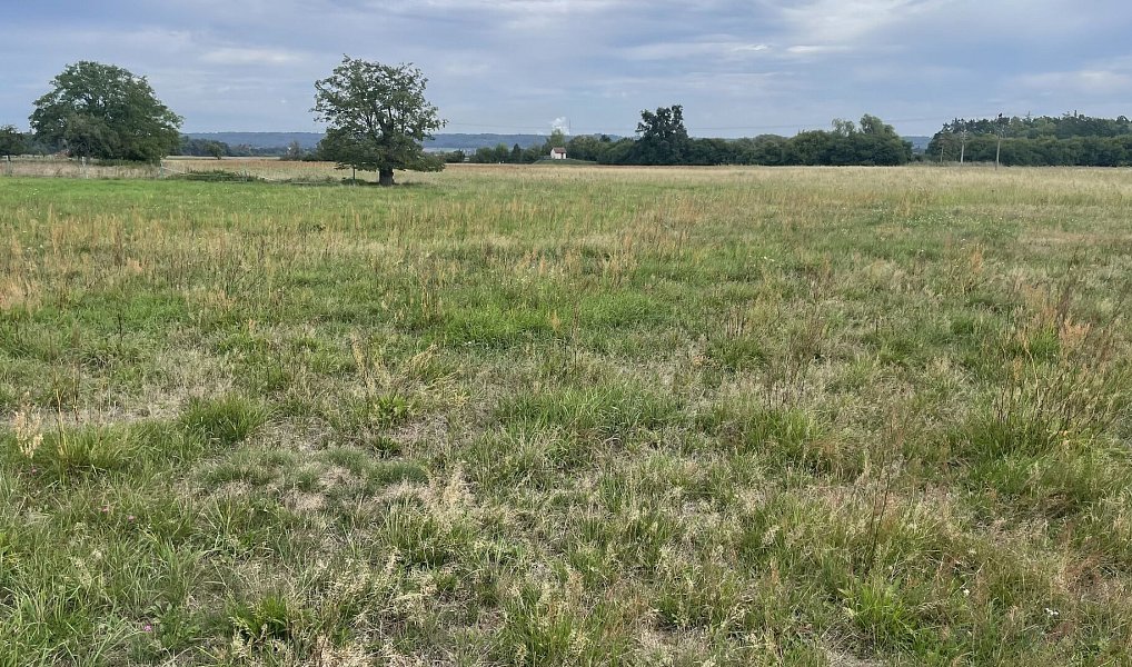 Prodej stavebního pozemku 3 367 m², Rohozec – náhled fotky 9