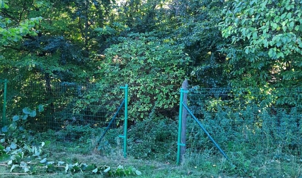 Prodej domu 140 m² s pozemkem 628 m², Nosálov – náhled fotky 14