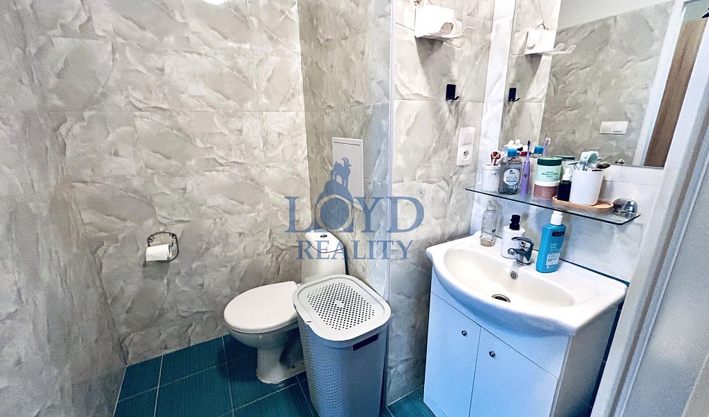 Prodej bytu 1+1 36 m², Karlovy Vary – náhled fotky 7