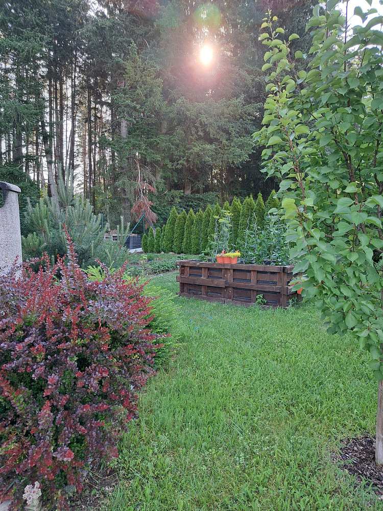 Prodej stavebního pozemku 768 m² – fotografie 3