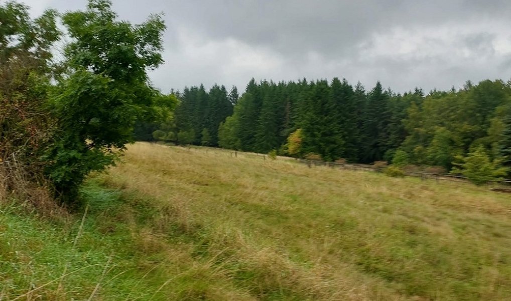 Prodej stavebního pozemku 1 259 m², Chodov – náhled fotky 4