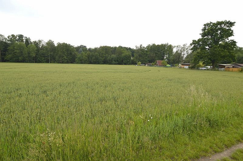 Prodej pozemku 2 267 m² – fotografie 3