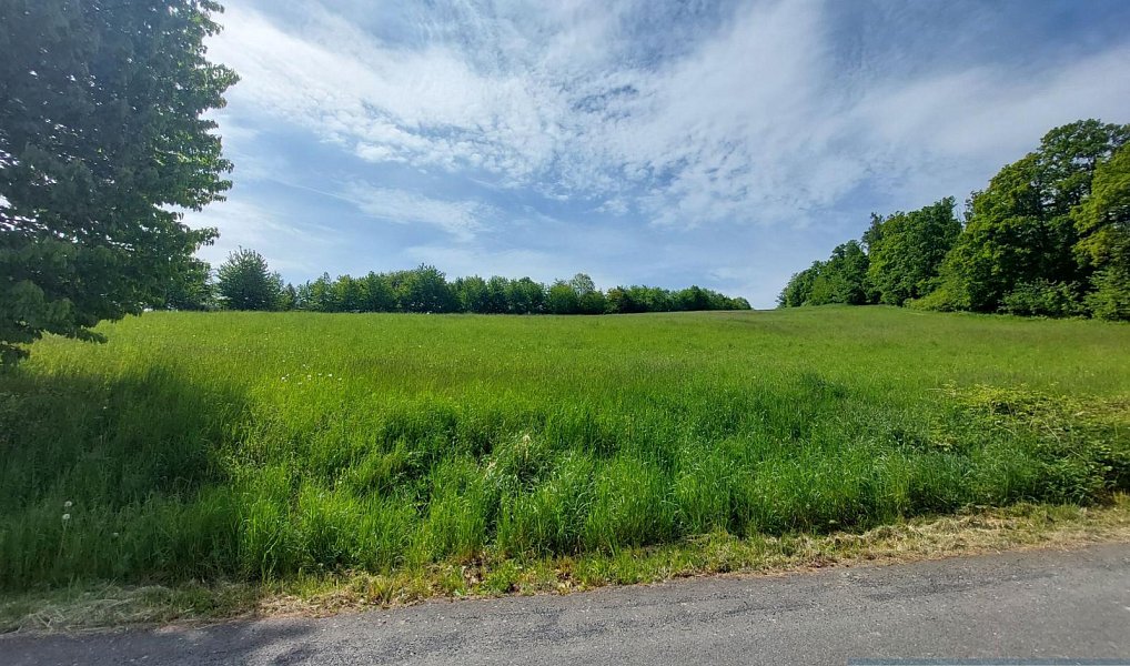 Prodej stavebního pozemku 927 m², Sosnová – náhled fotky 11