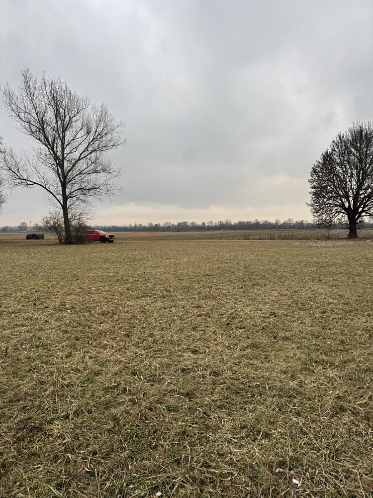 Prodej lesa 2 272 m² – fotografie 4