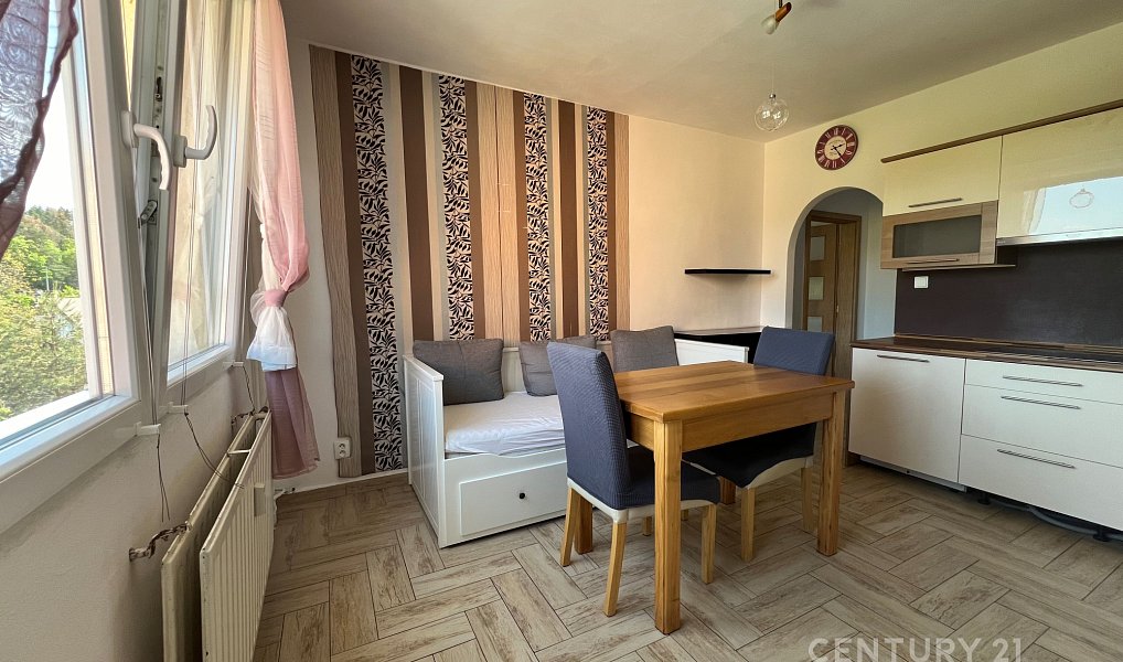 Pronájem bytu 2+kk 41 m², Plzeň – fotka 1 z 12