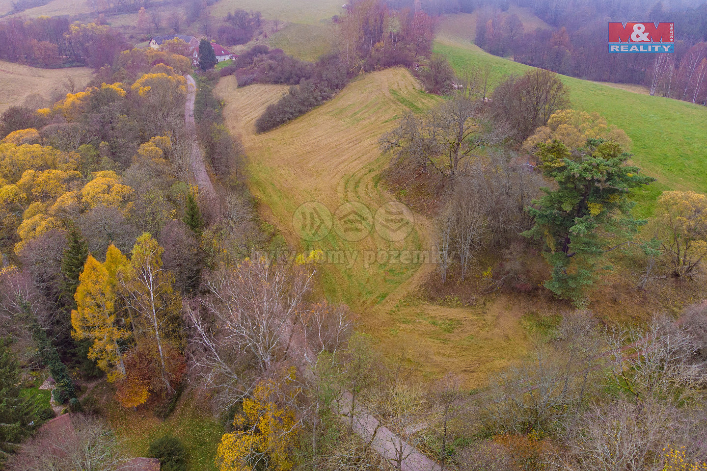 Prodej louky 3 357 m² — photo 4