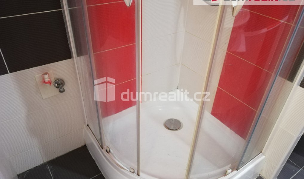 Pronájem bytu 1+1 39 m², Plzeň – náhled fotky 9
