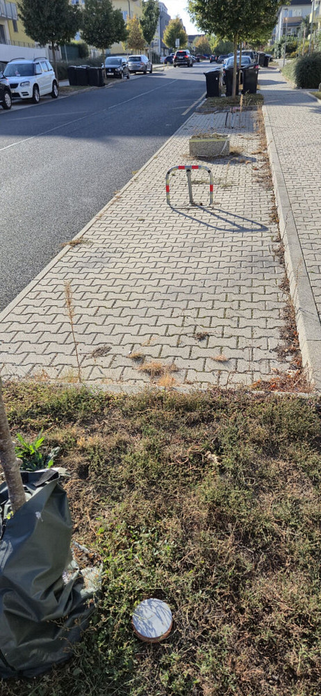 Prodej venkovního parkovacího stání se sklopnou zábranou - T. G. Masaryka/Horoměřice – fotografie 4