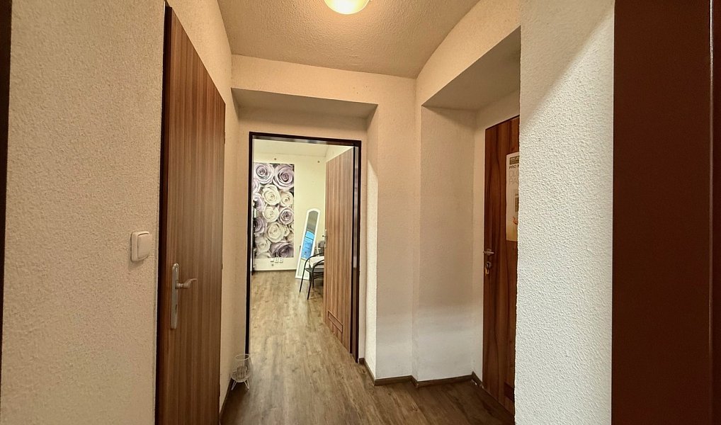 Pronájem komerčního objektu (jiného typu) 50 m², Ústí nad Labem – náhled fotky 8