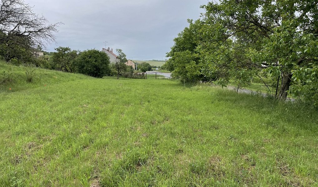 Prodej stavebního pozemku 896 m², Násedlovice – náhled fotky 9