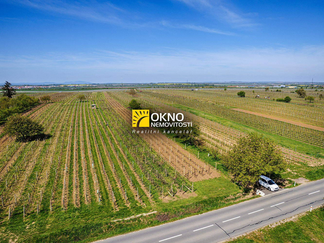 Rovinný pozemek - vinice – pohled 2