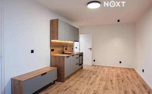 Pronájem bytu 1+1 34 m², K. J. Erbena, Most