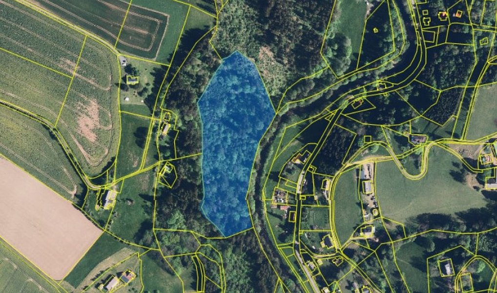 Prodej lesa 19 893 m², Klášterec nad Orlicí – náhled fotky 3
