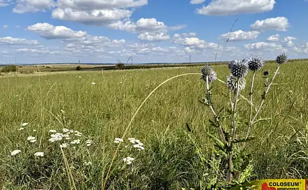 Prodej komerčního pozemku 22 332 m², Znojmo