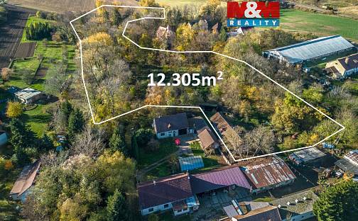 Prodej domu 150 m² s pozemkem 12 305 m², Lochy, Čáslav - Čáslav-Nové Město, okres Kutná Hora