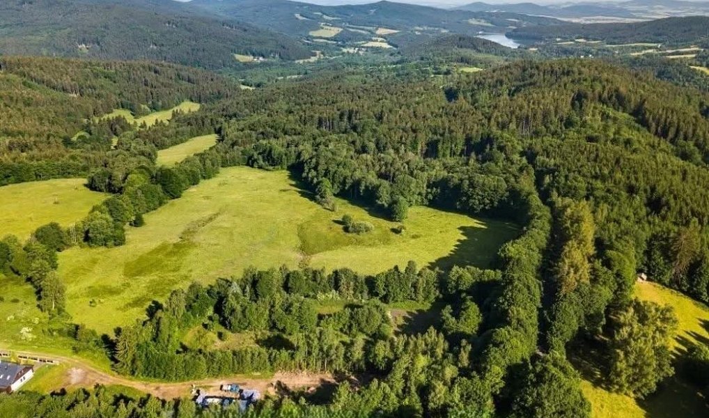 Prodej bytu 2+kk 55 m², Železná Ruda – náhled fotky 5