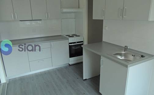 Pronájem bytu 1+1 35 m², Sládkova, Ostrava - Moravská Ostrava