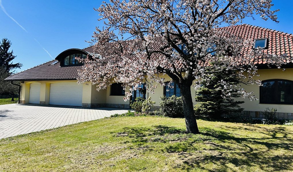 Prodej domu 392 m² s pozemkem 3 190 m², Olšany – náhled fotky 4